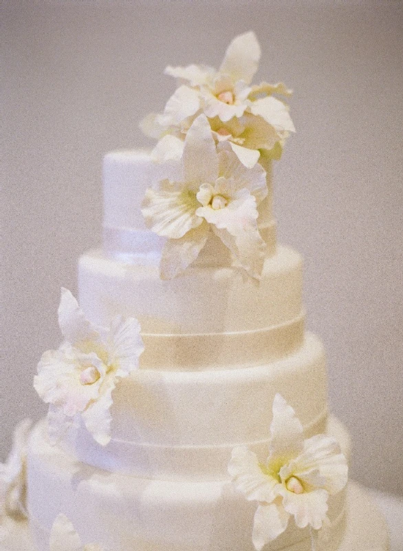 A Beach Wedding for Meagan and John