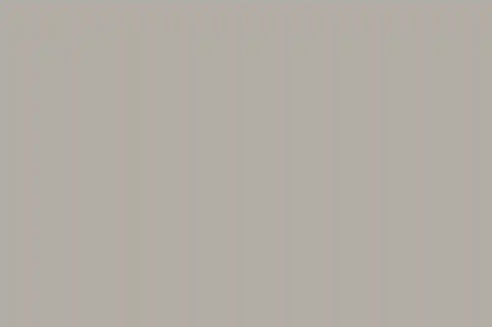 A Wedding for Clara and Scott