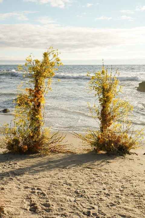 Flora Del Mar