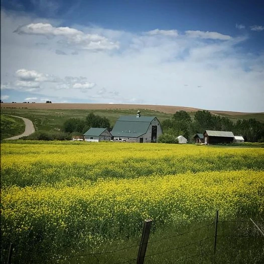 Foster Creek Farm