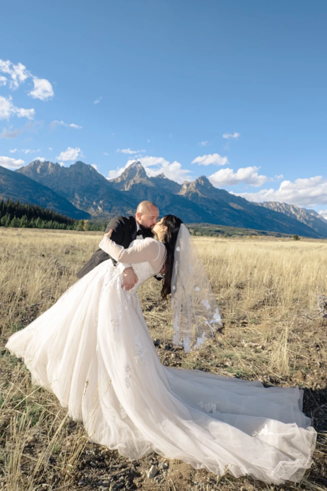 Foxtails Photography