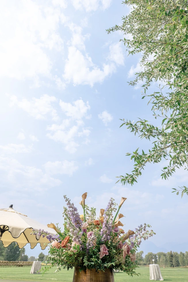 Foxtails Photography