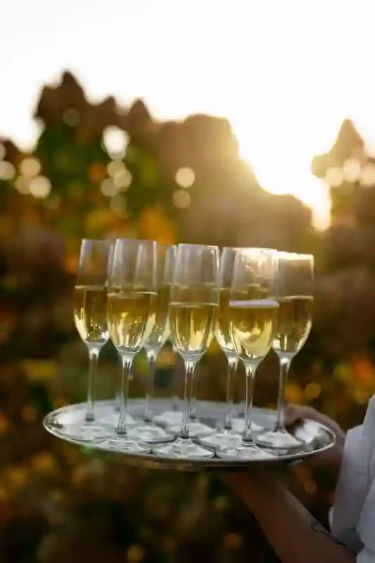 A Mountain Wedding for Francesca  and Alex 