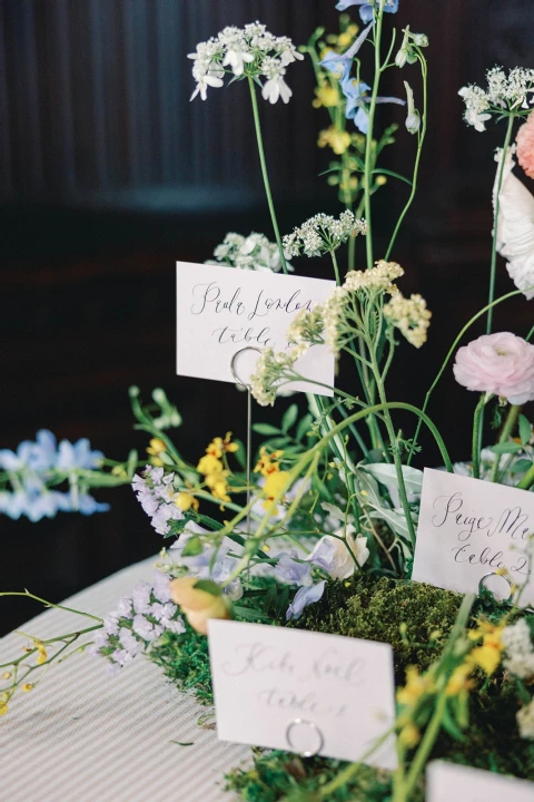 A Garden Editorial for Francesca and Jeremy