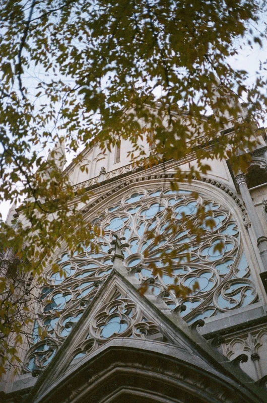 A Holiday Wedding for Gillian  and Evan 