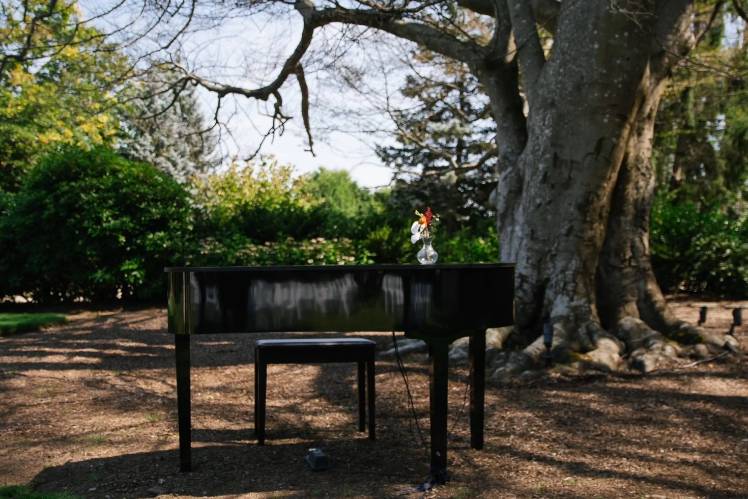 Golden Estate Entertainment