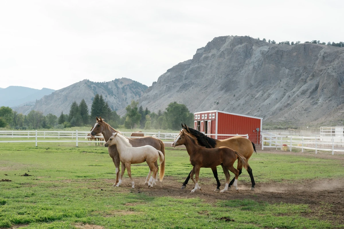 A Barn Wedding for Grace and Alex