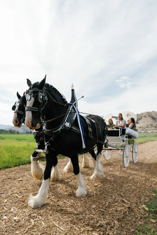 A Barn Wedding for Grace and Alex