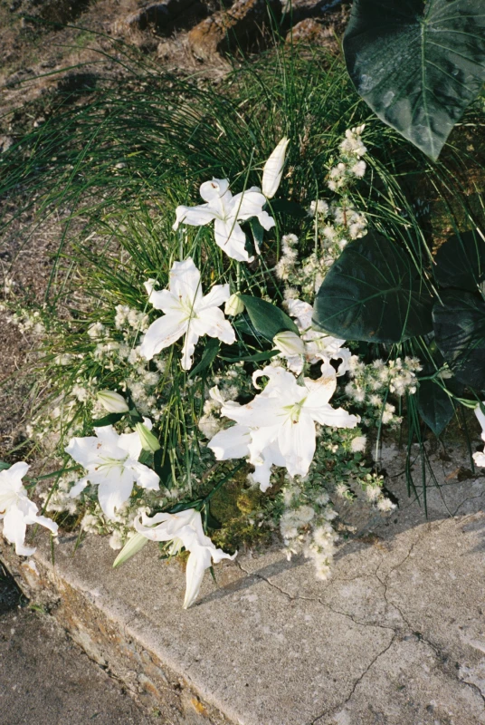 A Coastal Wedding for Grace and Reese