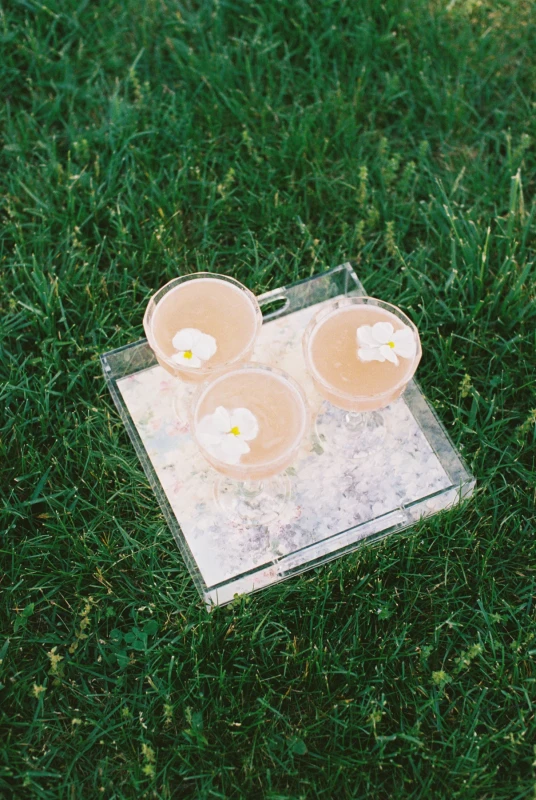 A Garden Wedding for Gracin and Tom