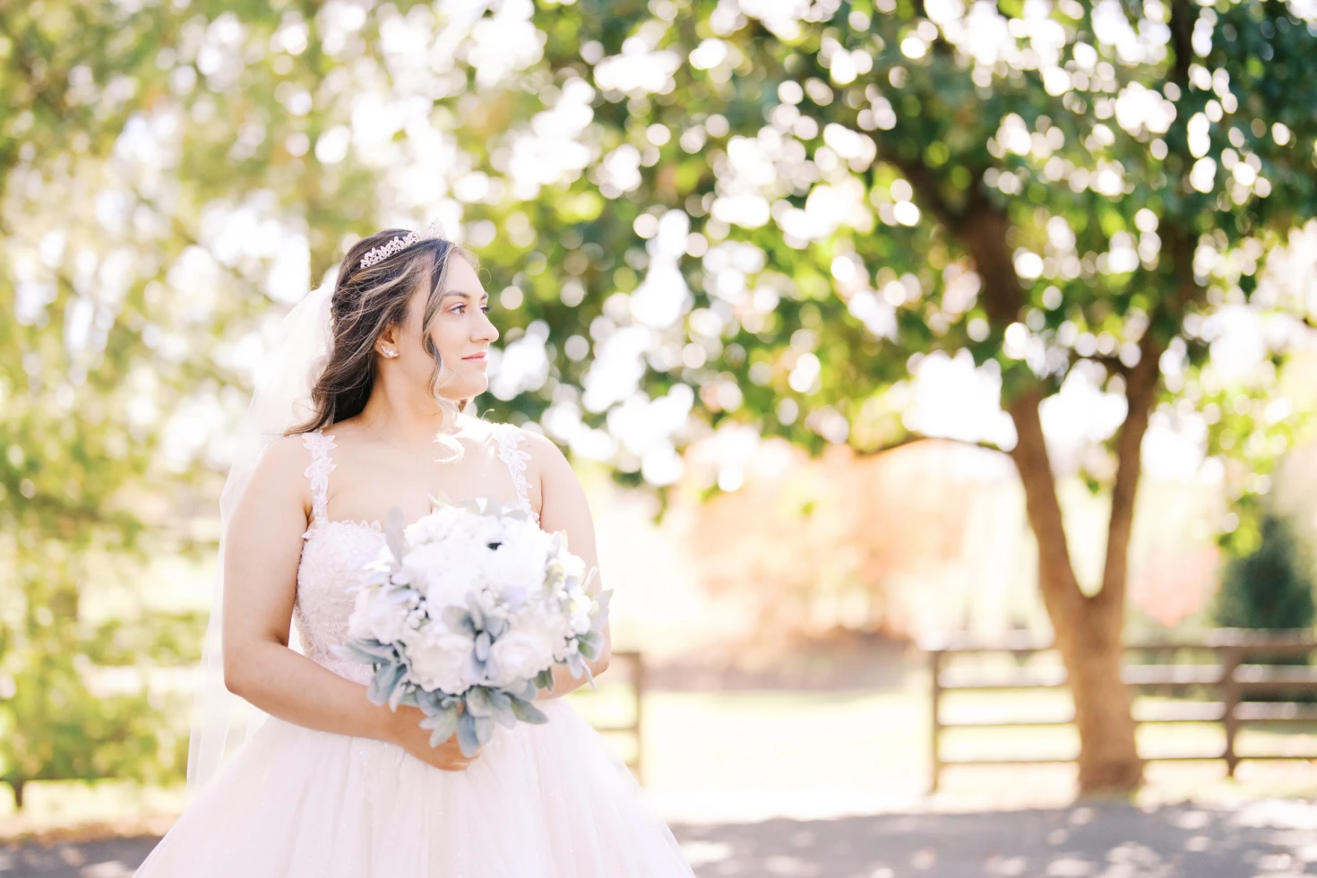 Greg Thomas Photography