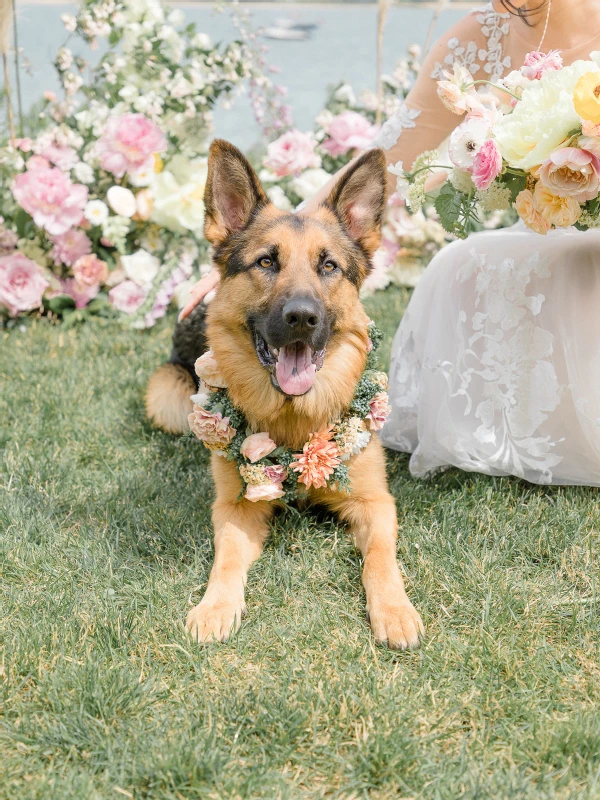 An Outdoor Wedding for Haley and Andrew