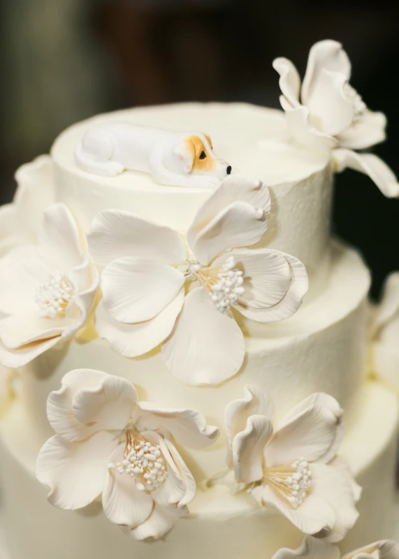 A Beach Wedding for Hannah and Dmitriy