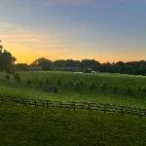 Harford Hill