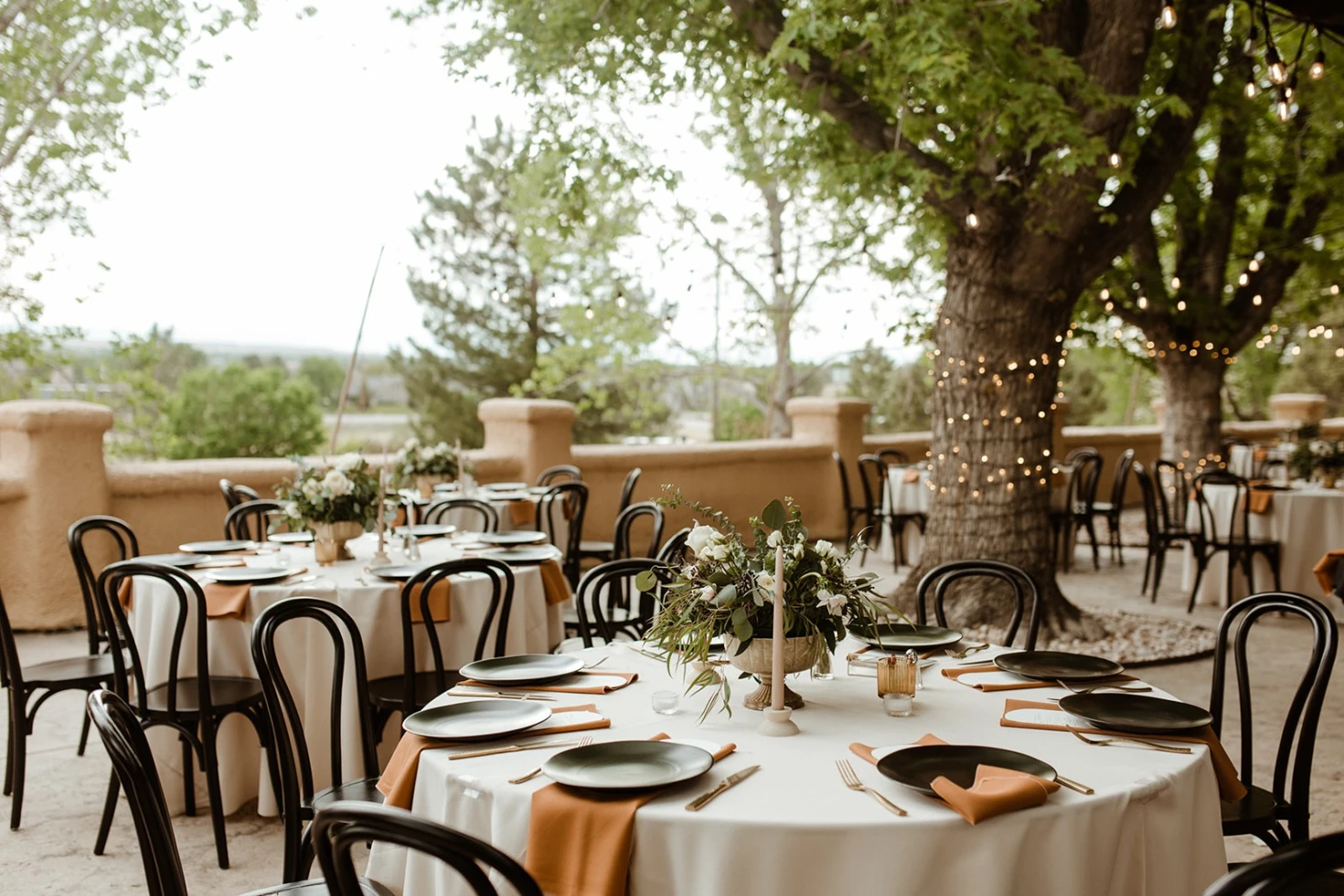 Harvest and Hive Events