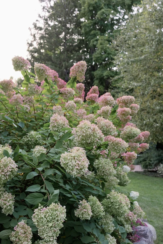 A Verdant Wedding for Hilary and Brewster