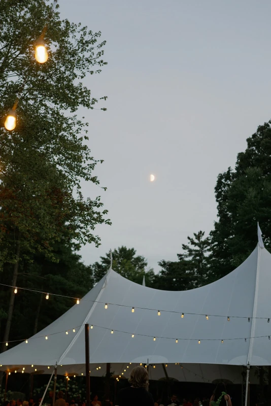 A Verdant Wedding for Hilary and Brewster