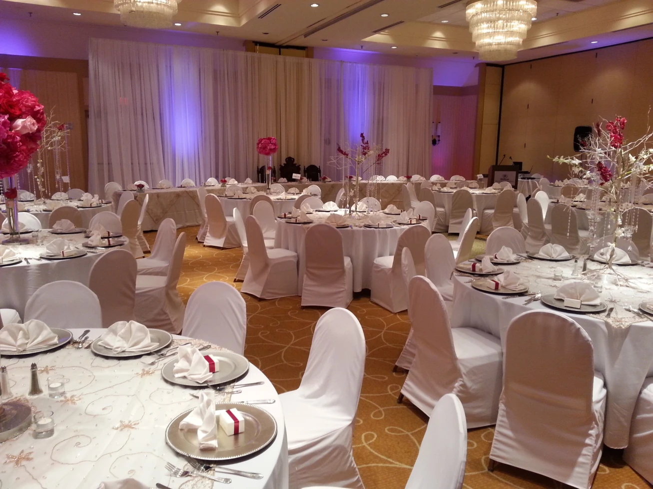 Hilton Tampa Airport Westshore