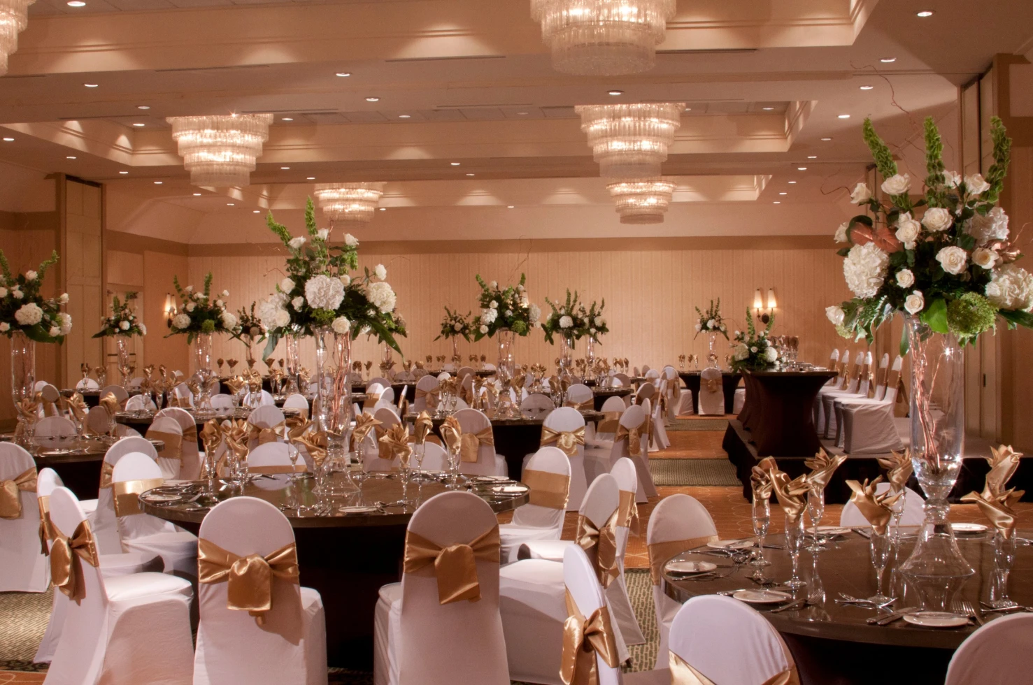 Hilton Tampa Airport Westshore