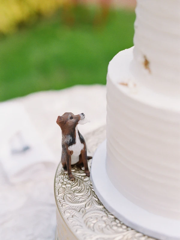 A Garden Wedding for Hope and Tyler