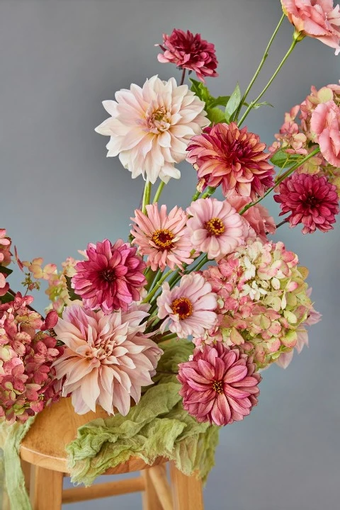 Imogen Floral