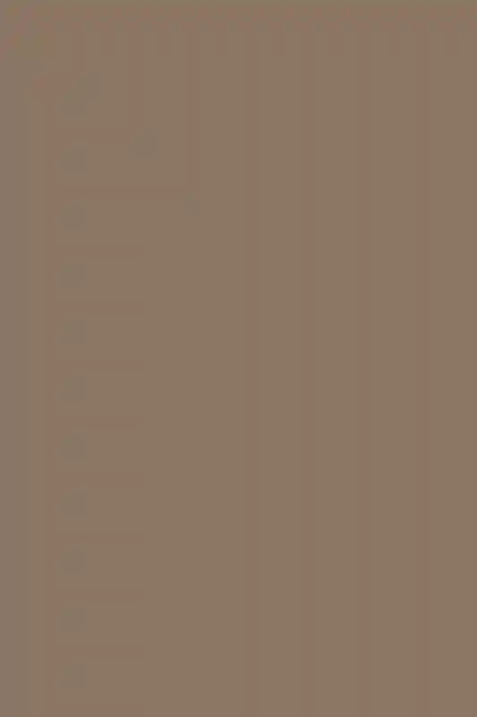 Within the Desert Light