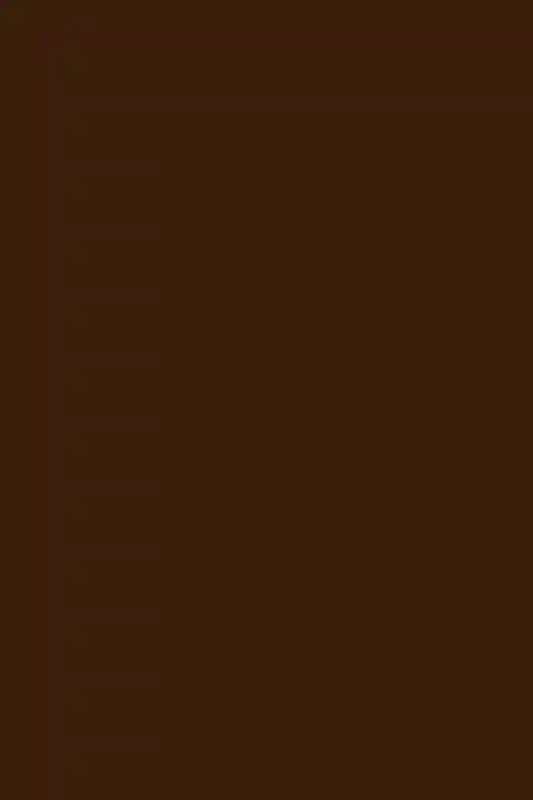 Within the Desert Light