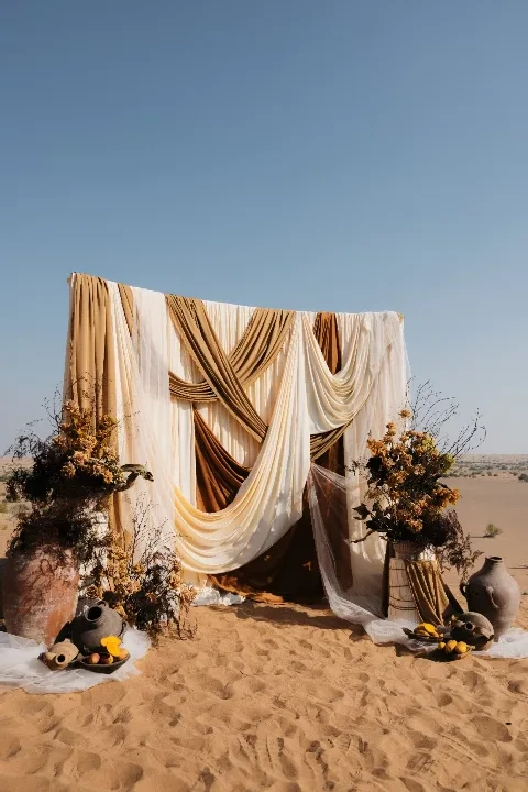 Within the Desert Light