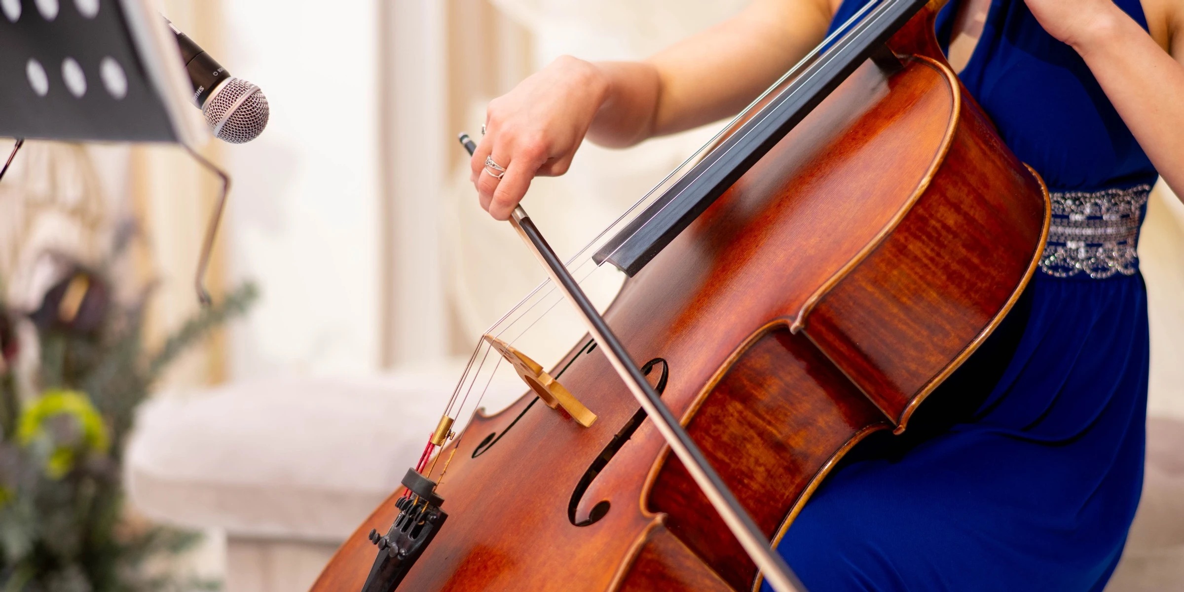 Irina Dolce - Cellist