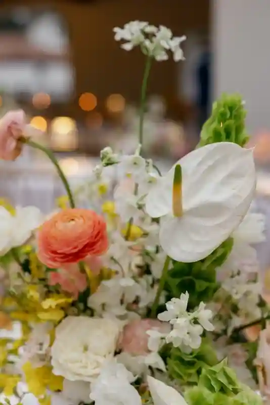A Beachfront Wedding for Isabel and Joe