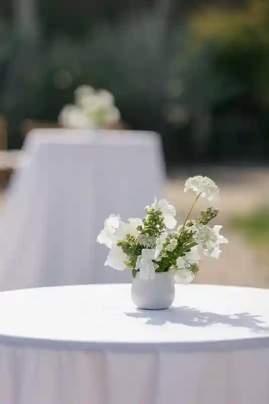 A Beachfront Wedding for Isabel and Joe