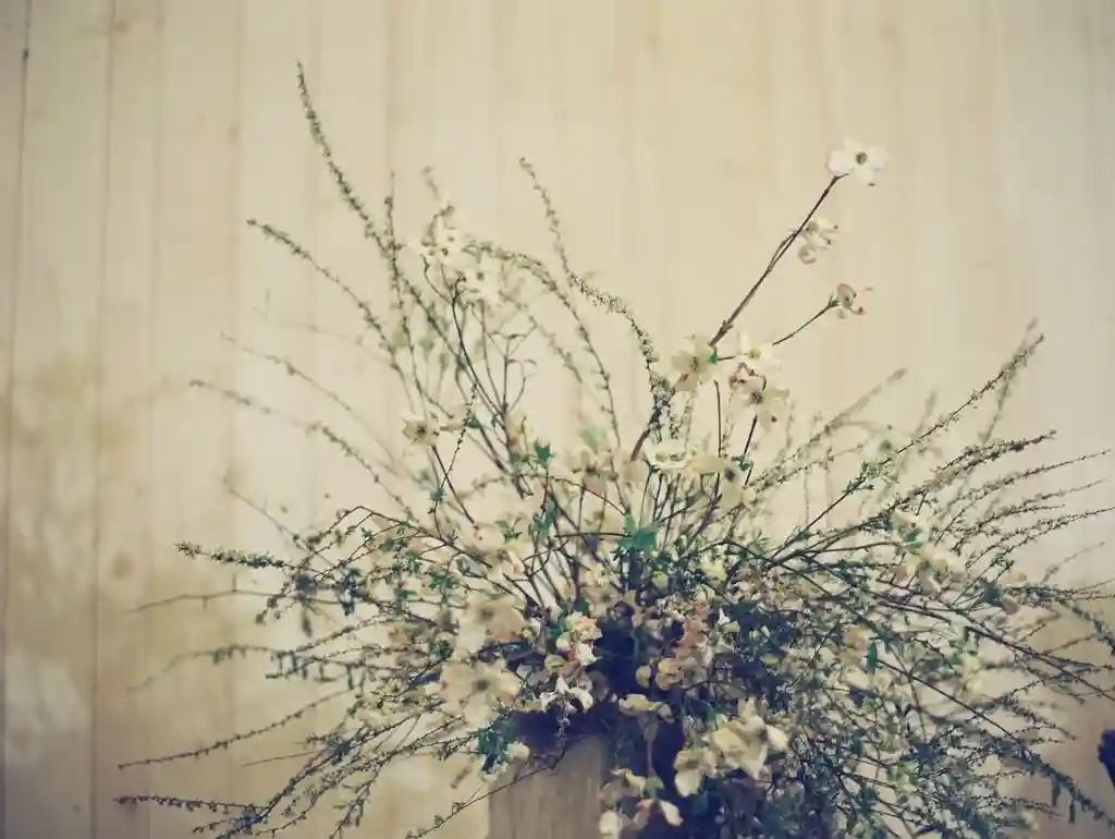 An Airy Wedding for Jason and Vivian