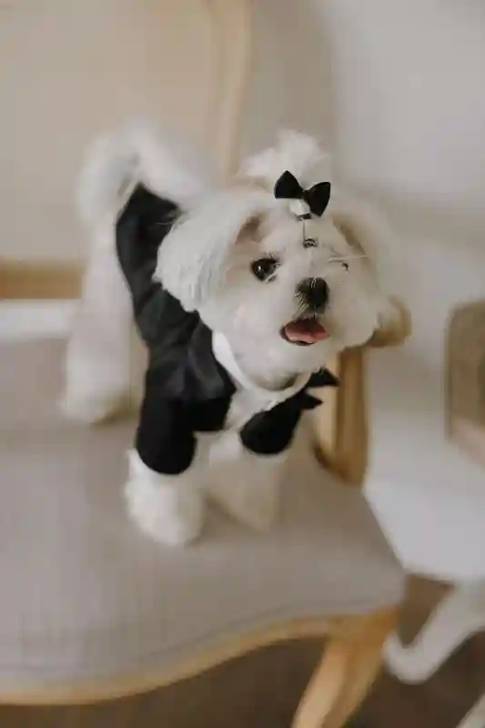 A Glam Wedding for Jazy and Carlos