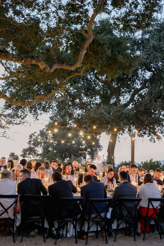 A Vineyard Wedding for Jessica and Christopher