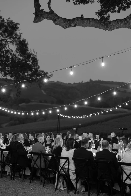 A Vineyard Wedding for Jessica and Christopher