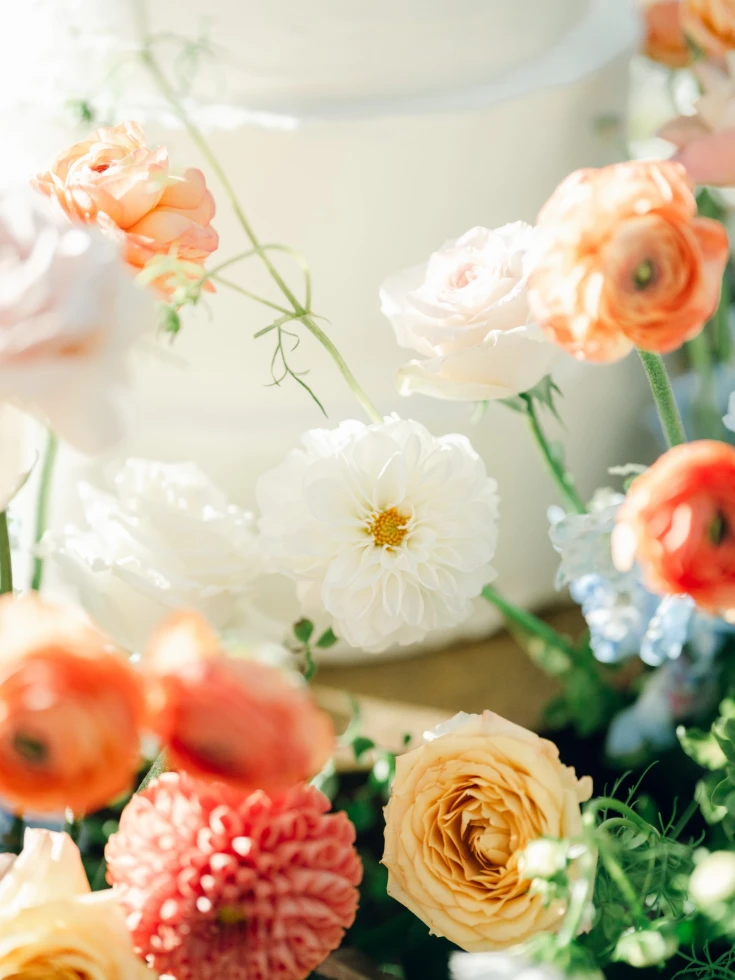 Jessica Blackburn Photography