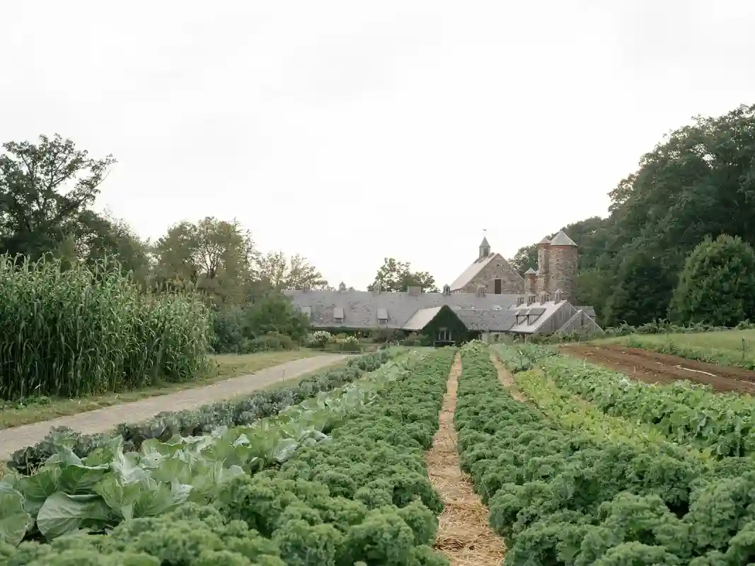 A Harvest Wedding for Jordan and Sherman