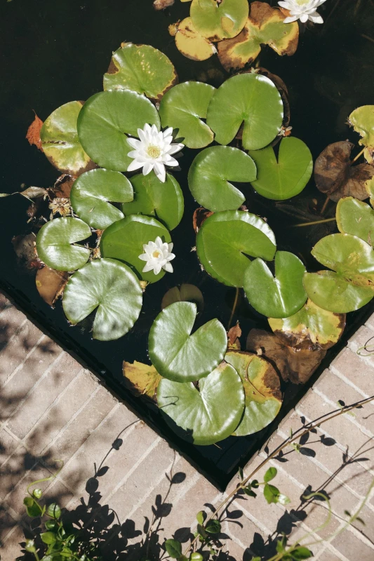 A Colorful Wedding for Julia  and Brendan 