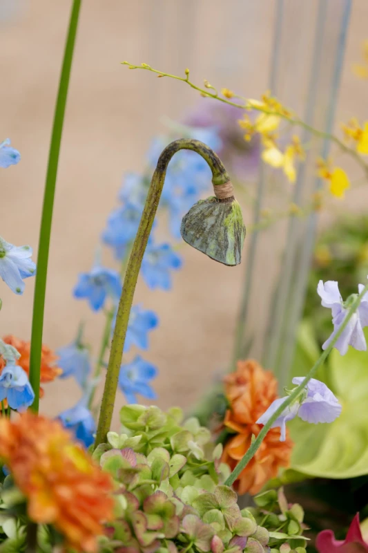 A Colorful Wedding for Julia and Jimmy