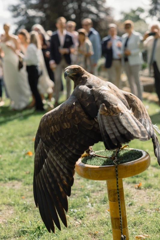 A Whimsical Wedding for Julie and Carie