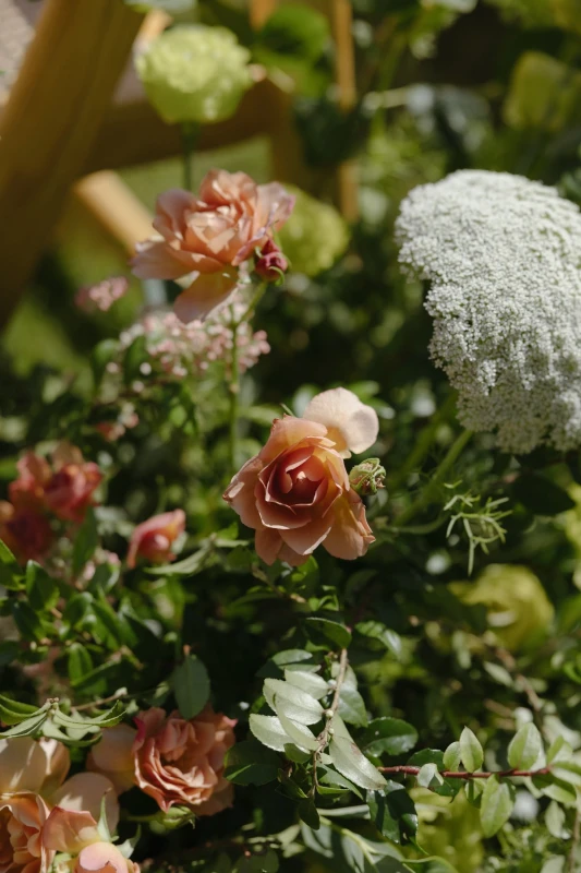 A Whimsical Wedding for Kacie and E.