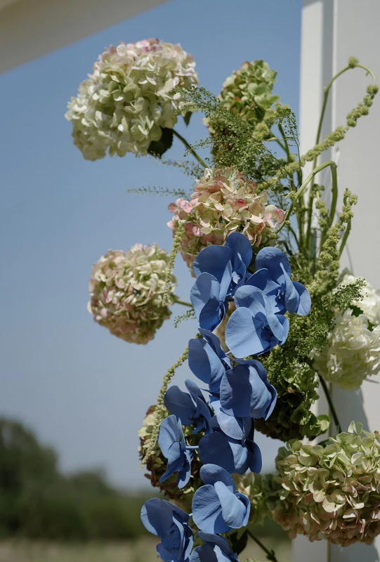 A Desert Wedding for Kallie  and Matthew 