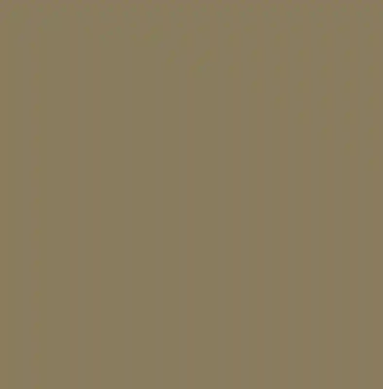 A Desert Wedding for Kallie  and Matthew 