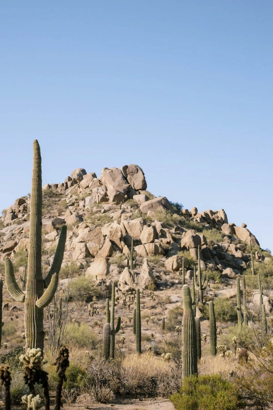 A Formal Wedding for Karen and Felix