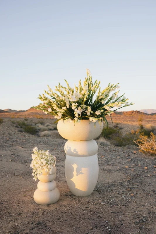 Desert Modernism in Monochrome