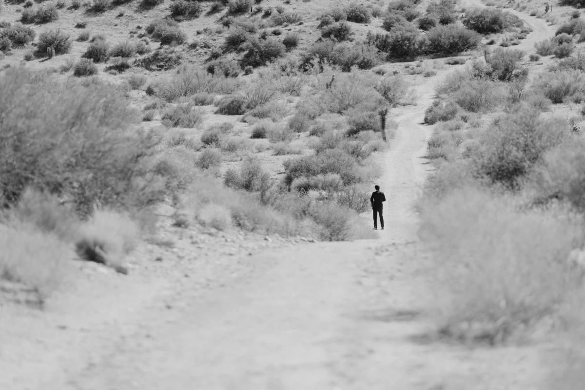 A Desert Wedding for Kate and Cody