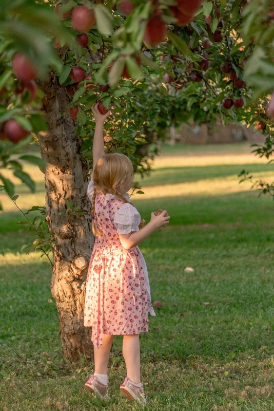 An Orchard Dinner for Kate and Dominic