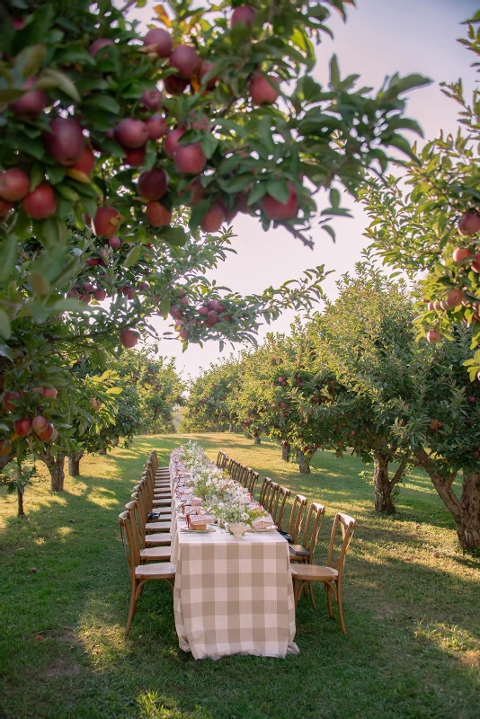 An Orchard Dinner for Kate and Dominic
