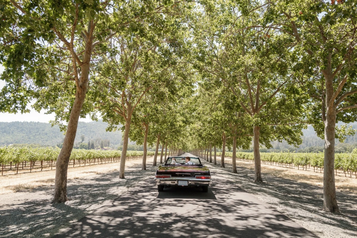 A Garden Wedding for Kelci  and Blake 