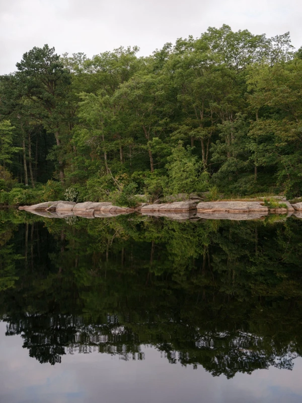 A Colorful Wedding for Keller  and Michael 